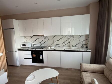 Apartment 1+1 for rent in Astir