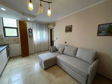 Apartment 1+1 for Rent at the Ballet School