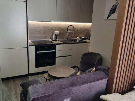 Studio apartment for rent, Laprake