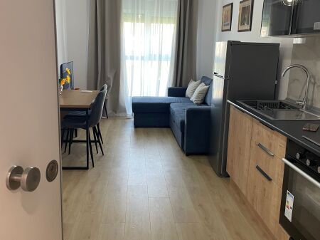 Apartment 1+1 for rent