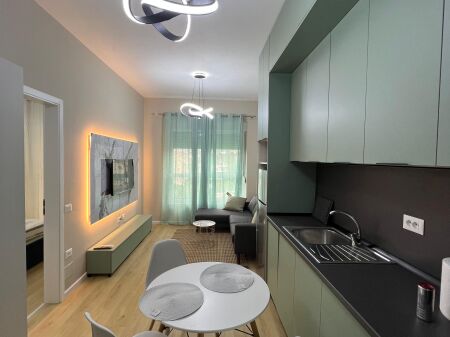 Apartment 1+1 for rent