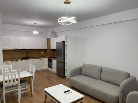 Apartment 1+1 for rent