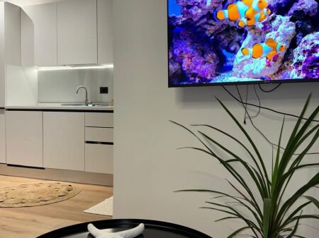  SUPER INVESTMENT OFFER – STUDIO APARTMENTS FOR SALE, GOLEM!