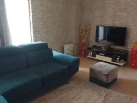Apartment for rent 1+1 Electric Market