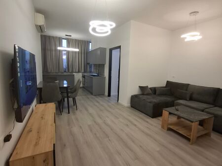 Apartament1+1 per Qera Qender, Mbrapa Ufos 600Lek/muaj