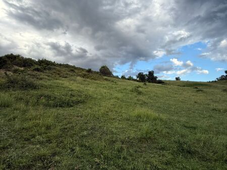 Toke me % per ndertim, Farke e Madhe