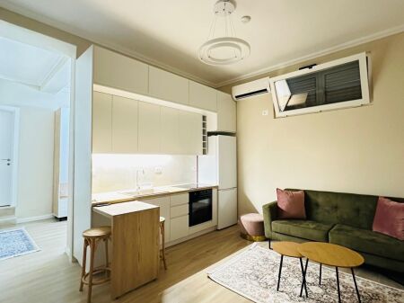 APARTMENT FOR RENT 1+1 OXHAKU