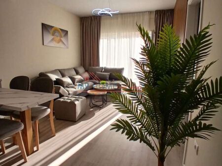 Apartament 2+1 me Qira te Zogu i Zi Tirane