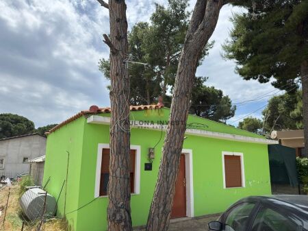 SHITET SHTEPI NE PLAZHIN E VJETER,VLORE