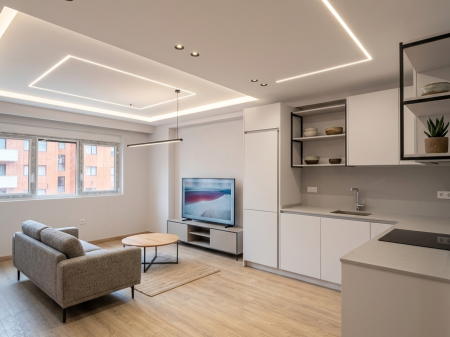 Luxury apartament 1+1 for rent