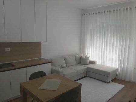 Apartment 1+1 for rent