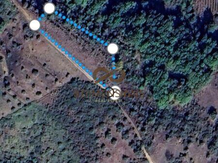 Terreno in vendita con certificato di proprietà a Ardenice Lushnje(ID D817A-3)
