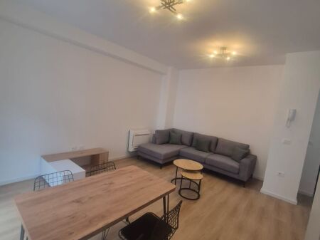 Apartment 1+1 for rent