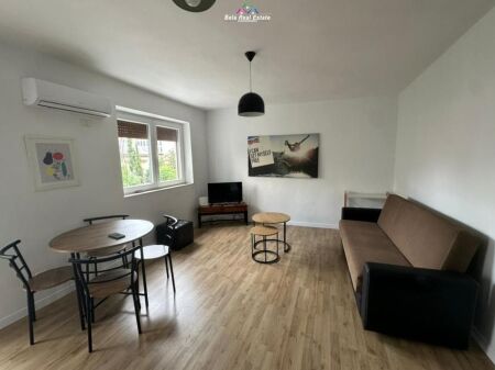 Apartment For Rent 1+1 At Elbasan Street (ID B211128) Tirana