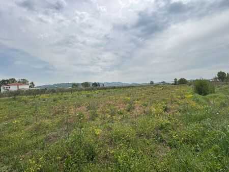  Terreno in vendita a Koxhas, Shijak 