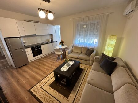 Apartment 1+1 for rent near the Ballet School