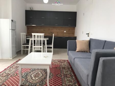 Appartamento In Affitto 1+1 A Rruga e Dibres (ID B210236) Tirane