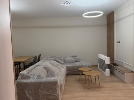 Apartment For Rent 1+1 Near the Zoological/Botanical Garden (ID B2101723) Tirana