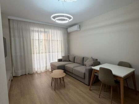 Apartament Me Qera 1+1 Tek Kopshti Zoologjik/Botanik ( ID B2101721) Tirane