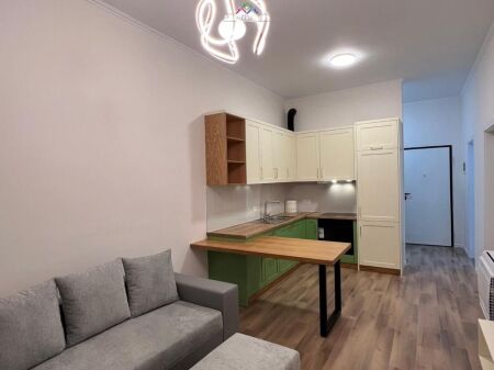 Apartment For Rent 1+1 At Dritan Hoxha (ID B2101738) Tirane