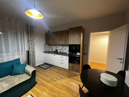 Apartment 1+1 for rent – near the Ballet School !