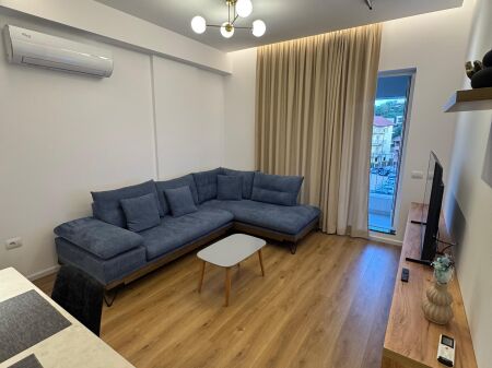 Apartment 1+1 for rent