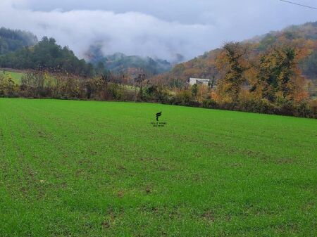 TERRENO IN VENDITA 3500 M2 PETRELE 31.500.000 LEKE  FH-77391