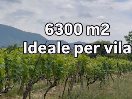 Terreno in vendita a Farke via Daxhi 6300 m2