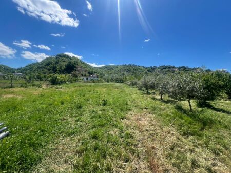 Terreno in vendita a Vishaj / Vicino al Ristorante Vishnja