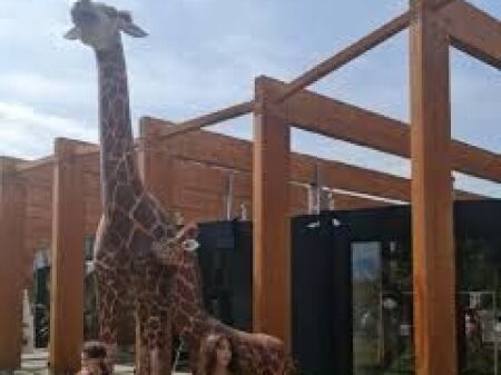 QERA,APARTAMENT 2+1,KOPSHTI ZOOLOGJIK