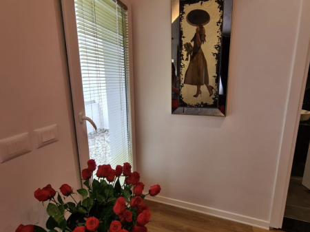 Apartament me qera rruga e kosovarve