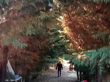 Shitet Karabinë 2-Katëshe – 100m² për Kat, Truall 500m²+