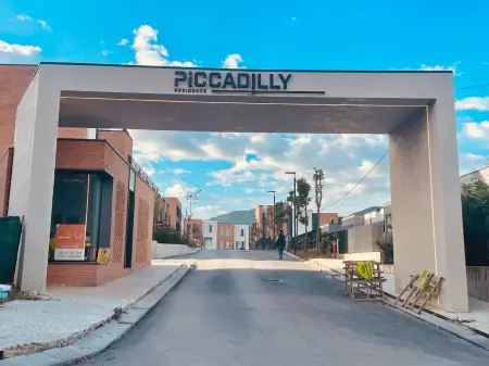 Duplex Picadilly , Teg