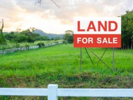 **Terreno in Vendita – Farkë | 7.000 m² | Con Certificato**