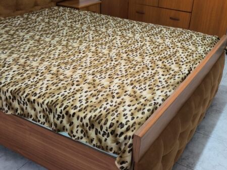 Apartament 1+- me qira prane Pallatit me Shigjeta