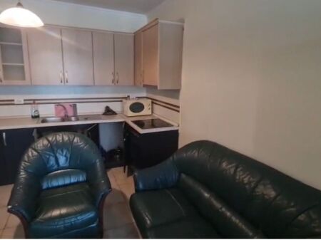 1+1,furnished,le bon black bird,550 thousand leke