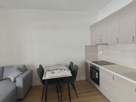 Apartment 1+1 for Rent