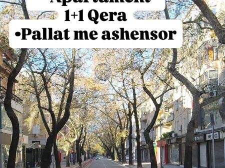 Myslym Shyri - 1+1 Qera me ashensor