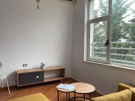 Jepet me qera apartament 1+1 tek Liqeni i Thate