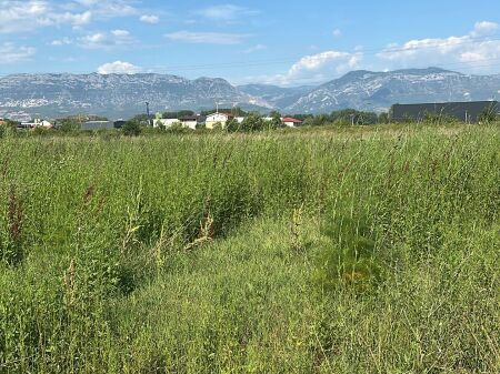 Terreno in vendita a Rinas