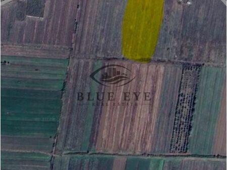 TERRENO IN VENDITA A SPILLE – OTTIMA OPPORTUNITÀ DI INVESTIMENTO
