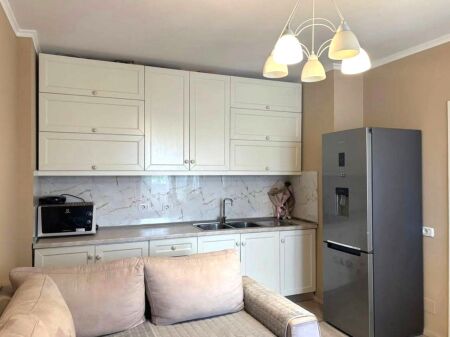 AFFITTASI APPARTAMENTO 1+1 A 21 DICEMBRE, 600 EURO