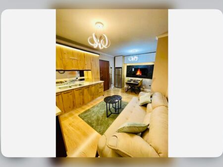 Luxury Apartment 2+1 for Rent