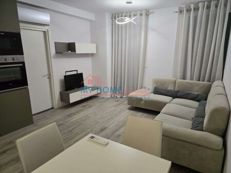 Apartament 1+1 me Qira te Ali Demi ne Tirane