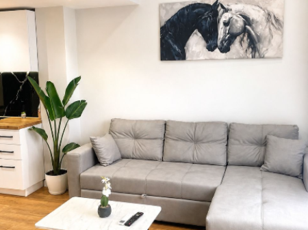  SHITET DUPLEX – LIQENI I THATË