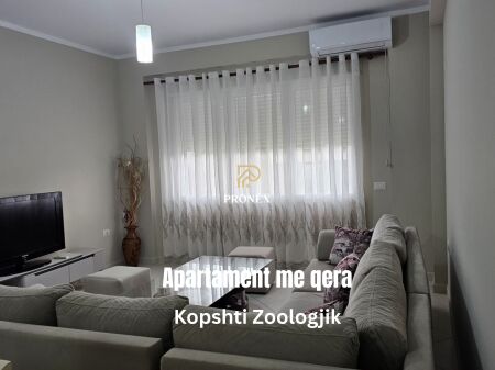 Apartament me qera - Kopshti Zoologjik