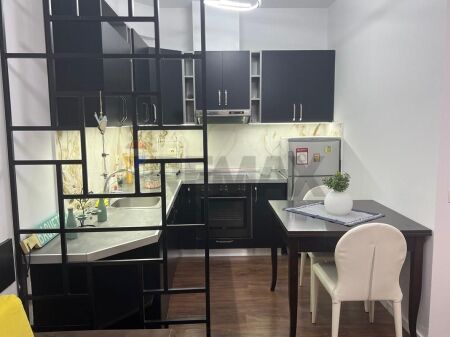 Apartment 1+1 for rent at the former Electric Market