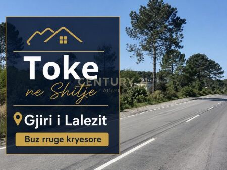 TERRENO IN VENDITA – GOLFO DI LALZ VICINO ALLA STRADA PRINCIPALE!