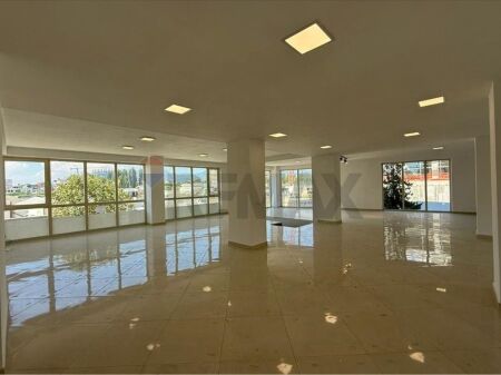 AFFITTO, UNITA' DUPLEX, VIA JORDAN MISJA, TIRANA  ID:530581013-19