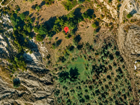 Shitet Tokë Ullishte – Picallë, Tiranë